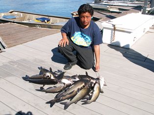 Robert Williams 3 limits caught with Richard Dexter and Lawrence Uriarte 15 Feb neon mouse tails boat.jpg